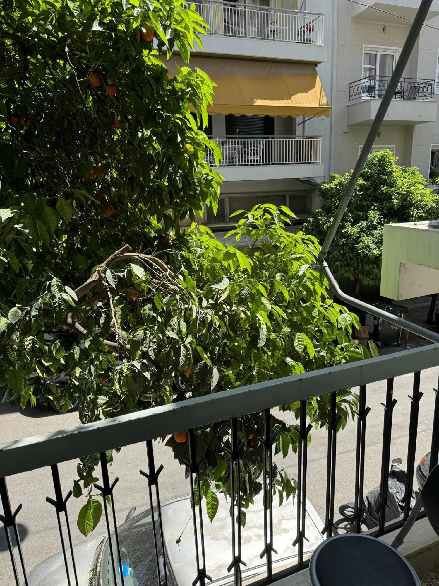 Cozy Apt Next To Acropolis Αθήνα Εξωτερικό φωτογραφία